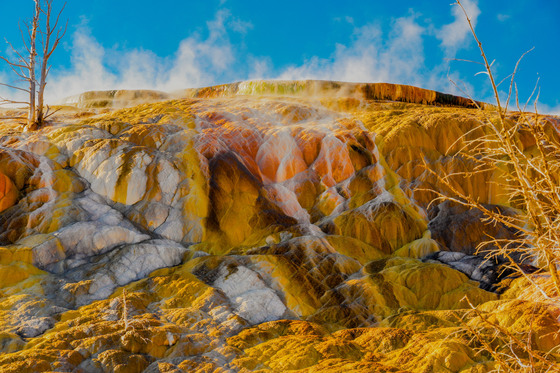 Yellowstone National Park