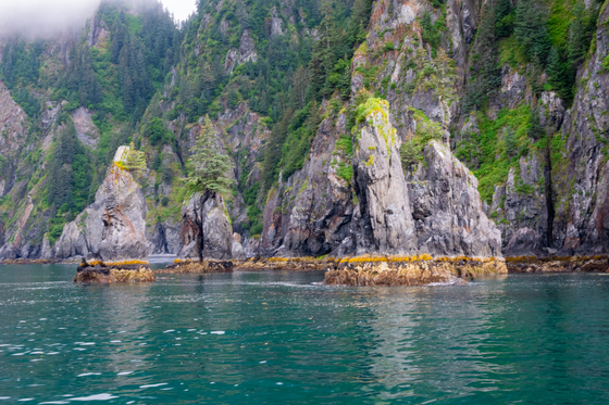 Kenai Fjords National Park