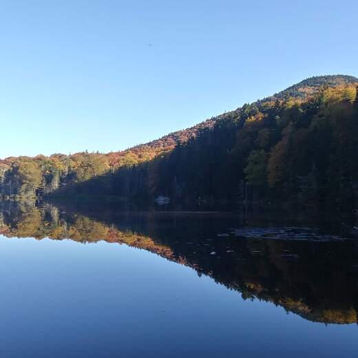 White Mountain National Forest