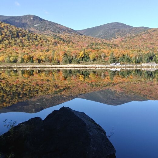 White Mountain National Forest