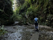 Redwood National Park