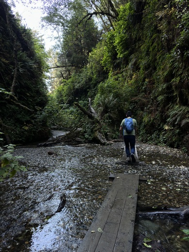 Redwood National Park