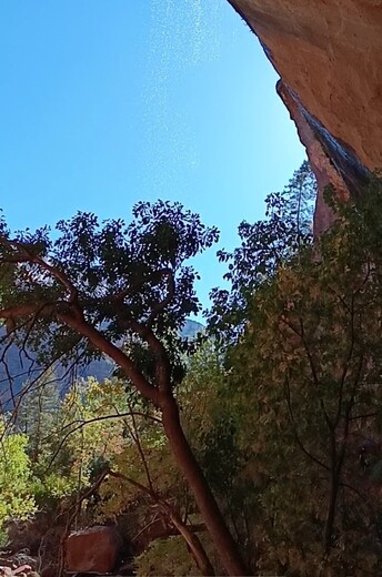 Zion National Park