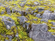 Kenai Fjords National Park
