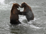 Katmai National Park