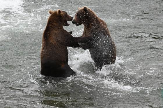 Katmai National Park