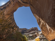 Natural Bridges National Monument