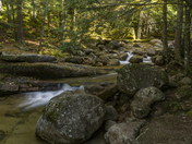 White Mountain National Forest