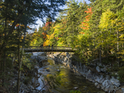 White Mountain National Forest