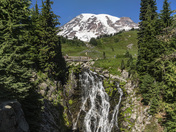 Mt. Rainier National Park