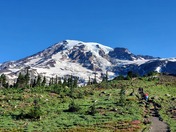 Mount Rainier National Park