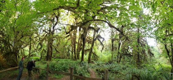 Olympic National Park