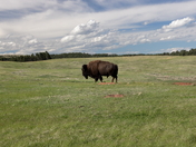 Wind Cave National Park
