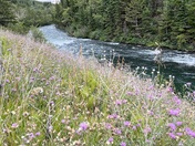 Glacier National Park