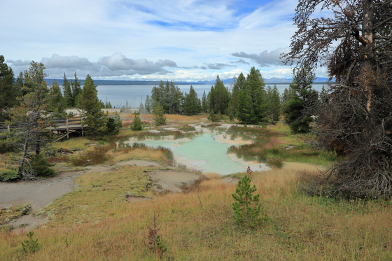 Yellowstone National Park
