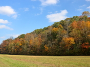 Natchez Trace Parkway