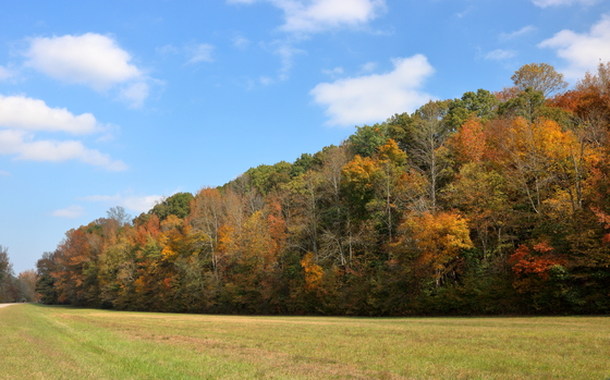 Natchez Trace Parkway