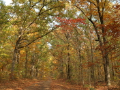 Natchez Trace Parkway 