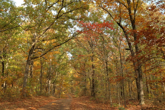 Natchez Trace Parkway 