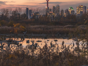 Post-sunset skyline! From the beautiful TTP!