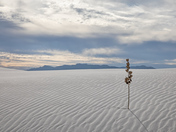 White Sands National Park