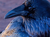 Arches National Park