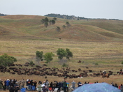 Badlands National Park