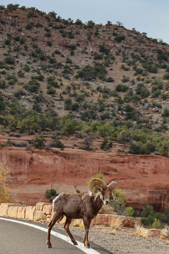 Colorado National Monument
