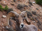 Colorado National Monument