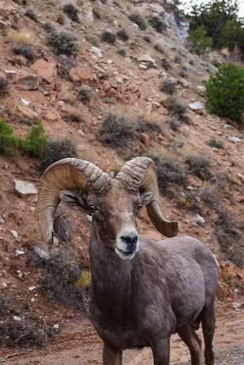 Colorado National Monument