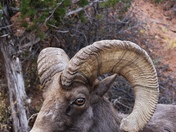 Colorado National Monument