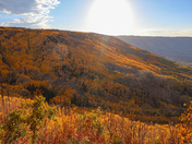Grand Mesa National Forest