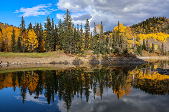 Grand Mesa National Forest