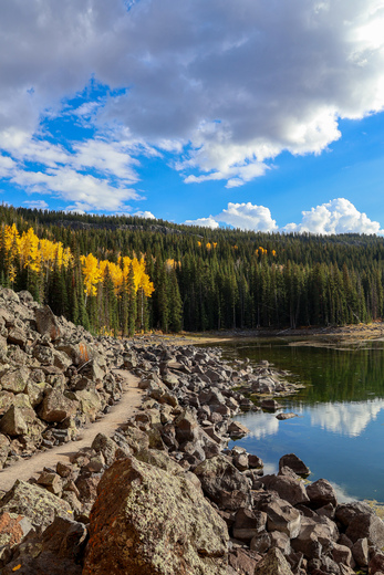 Grand Mesa National Forest
