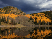 Grand Mesa National Forest