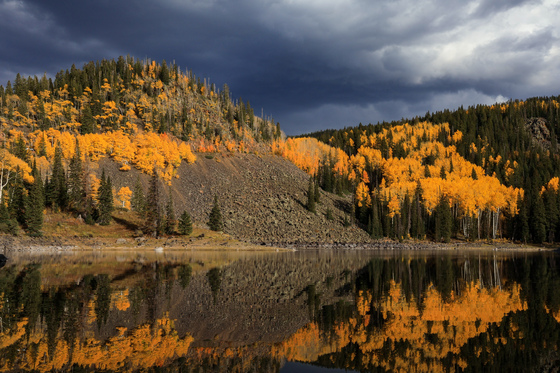 Grand Mesa National Forest