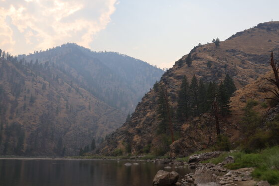 Corn Creek Salmon-Challis National Forest 