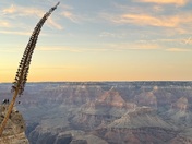 Grand Canyon National Park
