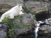 Glacier National Park