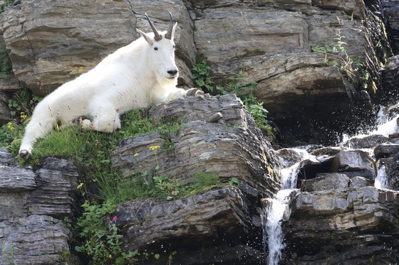 Glacier National Park