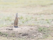 Theodore Roosevelt National Park