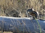 Grand Teton National Park