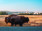 Yellowstone National Park