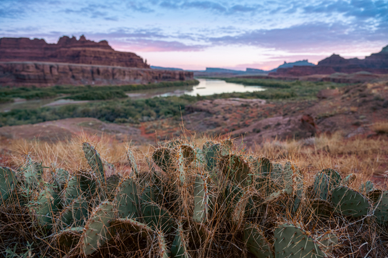 Chicken Corners Trail - Moab