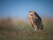 Badlands National Park