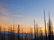 Sequoia National Park