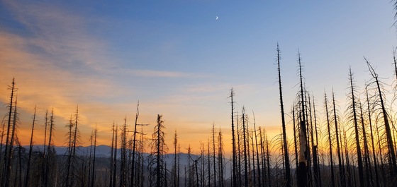 Sequoia National Park