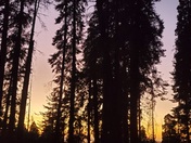 Sequoia National Park