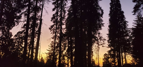 Sequoia National Park