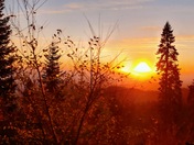 Sequoia National Park